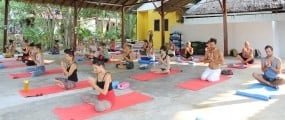 Yoga Teacher Training