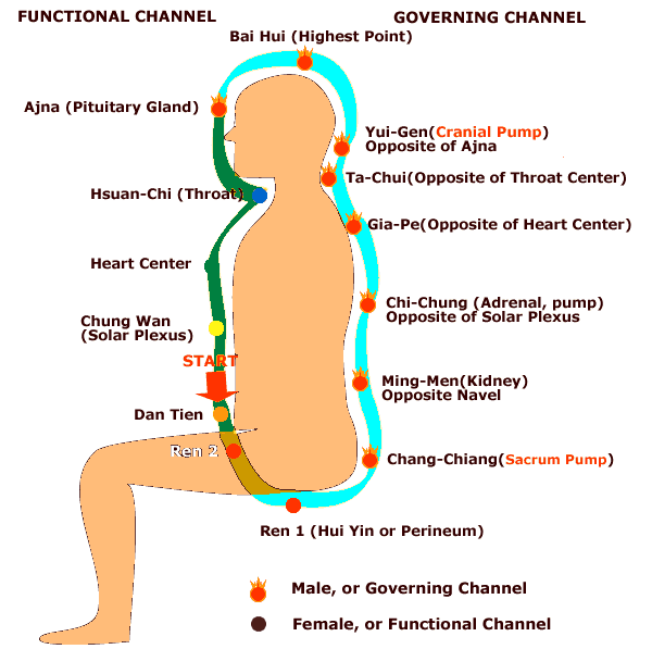 The microcosmic orbit of Qigong