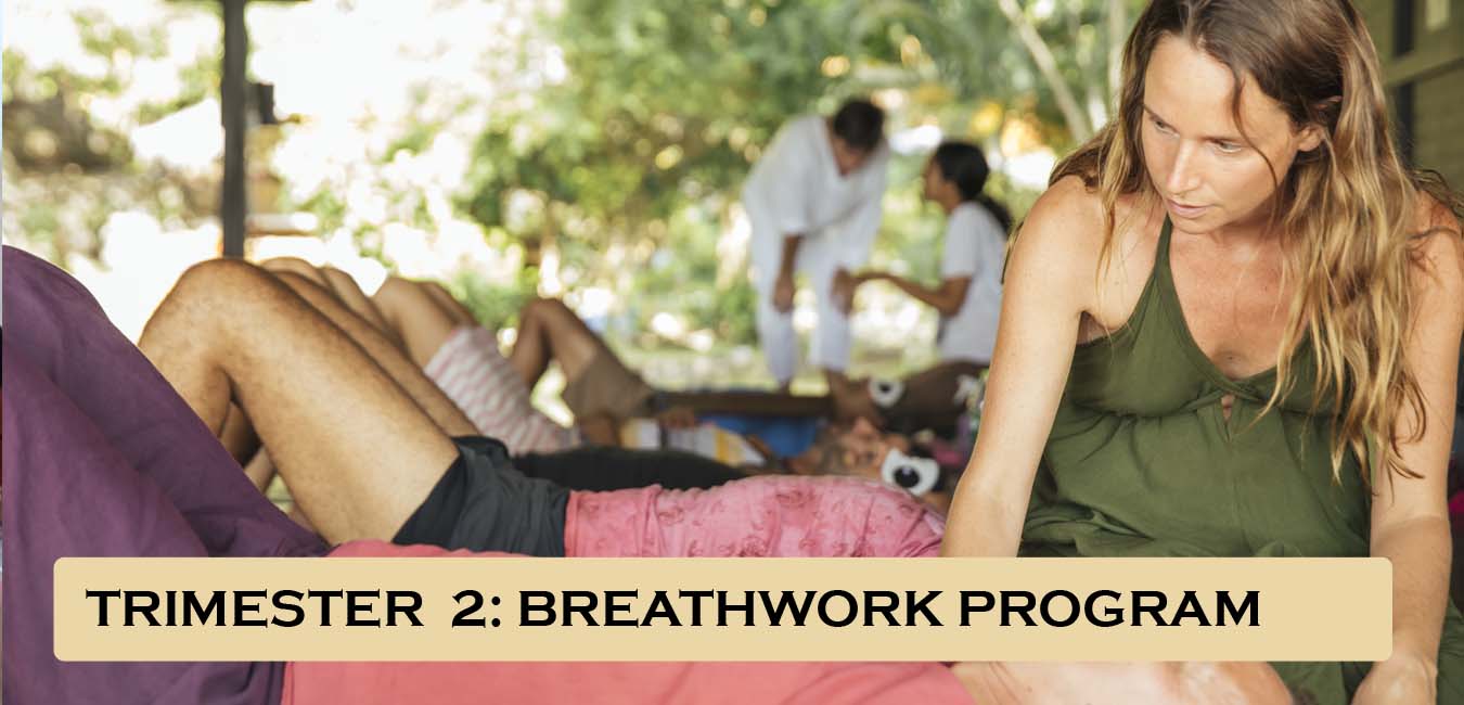 breathwork program